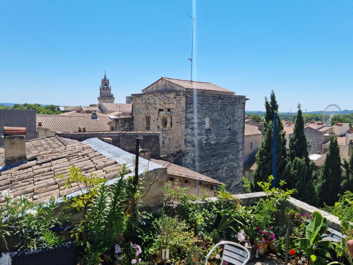Un Nid Sur Les Toits Face Au Palais Des Papes Daire Avinyon Dış mekan fotoğraf