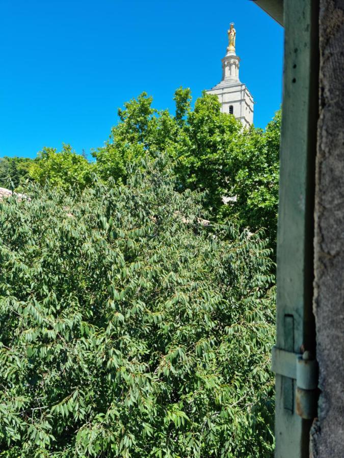 Un Nid Sur Les Toits Face Au Palais Des Papes Daire Avinyon Dış mekan fotoğraf