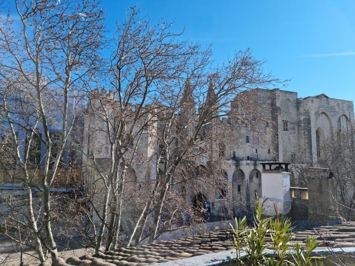 Un Nid Sur Les Toits Face Au Palais Des Papes Daire Avinyon Dış mekan fotoğraf
