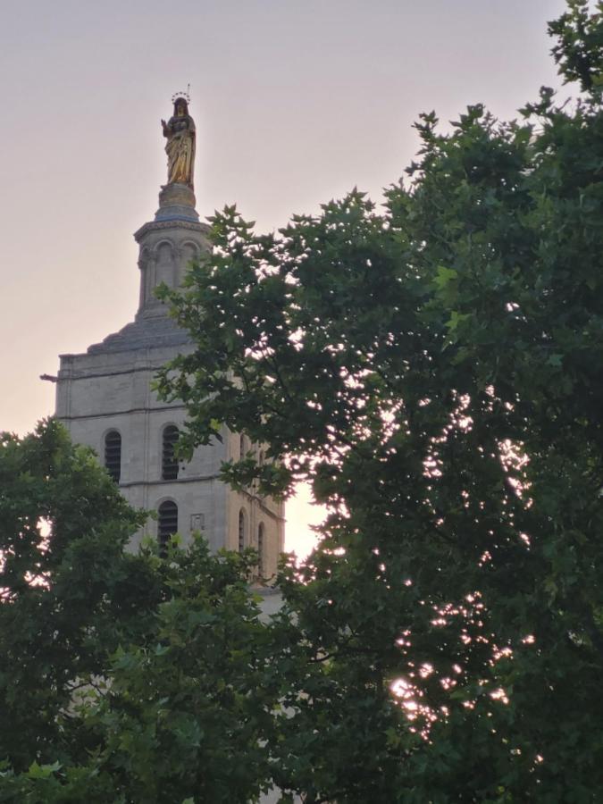 Un Nid Sur Les Toits Face Au Palais Des Papes Daire Avinyon Dış mekan fotoğraf