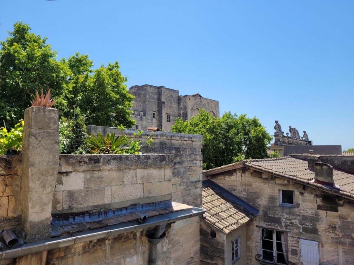 Un Nid Sur Les Toits Face Au Palais Des Papes Daire Avinyon Dış mekan fotoğraf