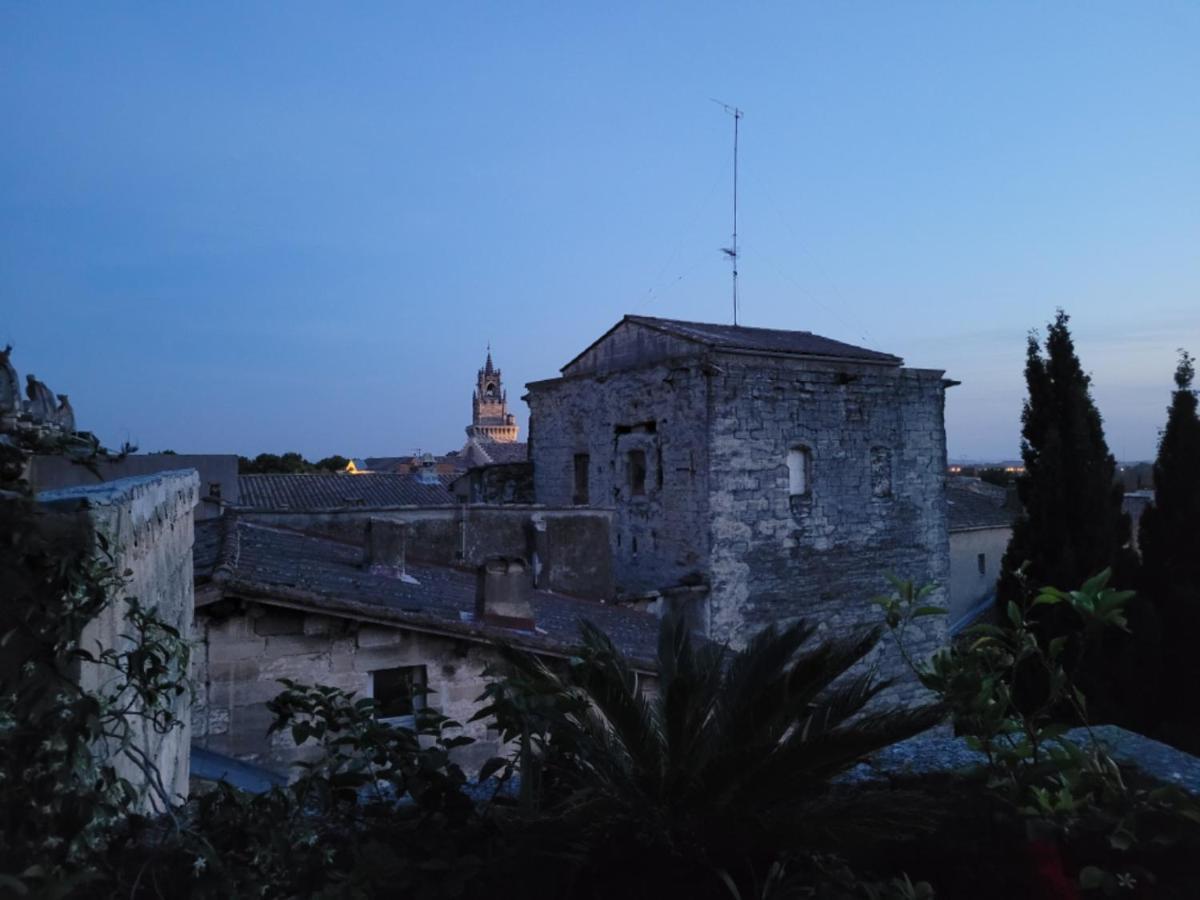 Un Nid Sur Les Toits Face Au Palais Des Papes Daire Avinyon Dış mekan fotoğraf