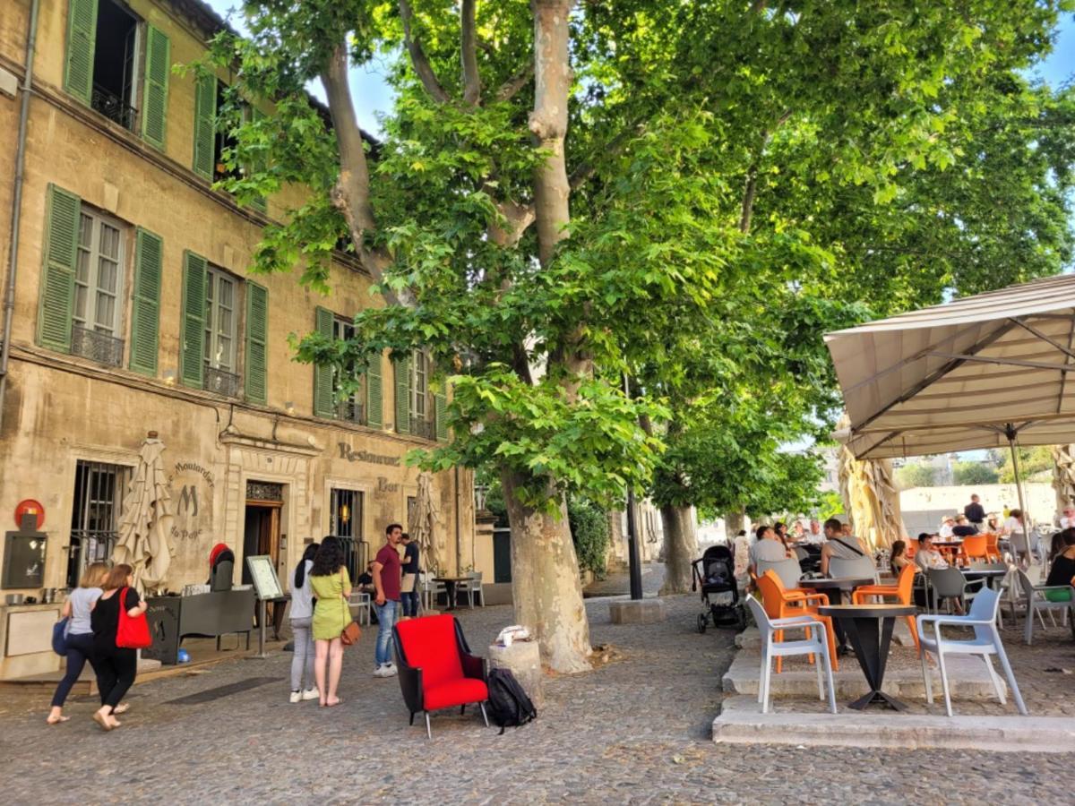 Un Nid Sur Les Toits Face Au Palais Des Papes Daire Avinyon Dış mekan fotoğraf