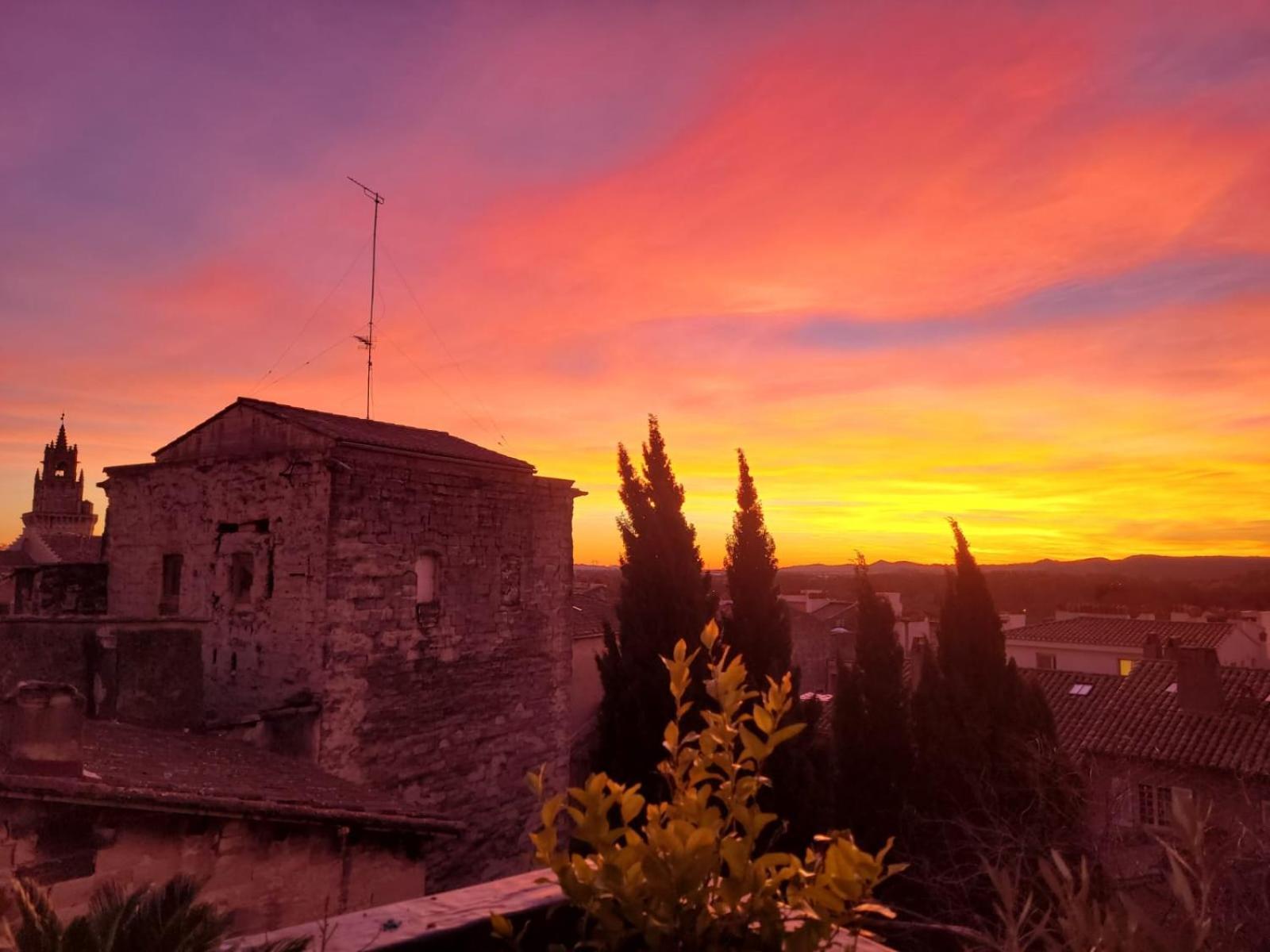 Un Nid Sur Les Toits Face Au Palais Des Papes Daire Avinyon Dış mekan fotoğraf