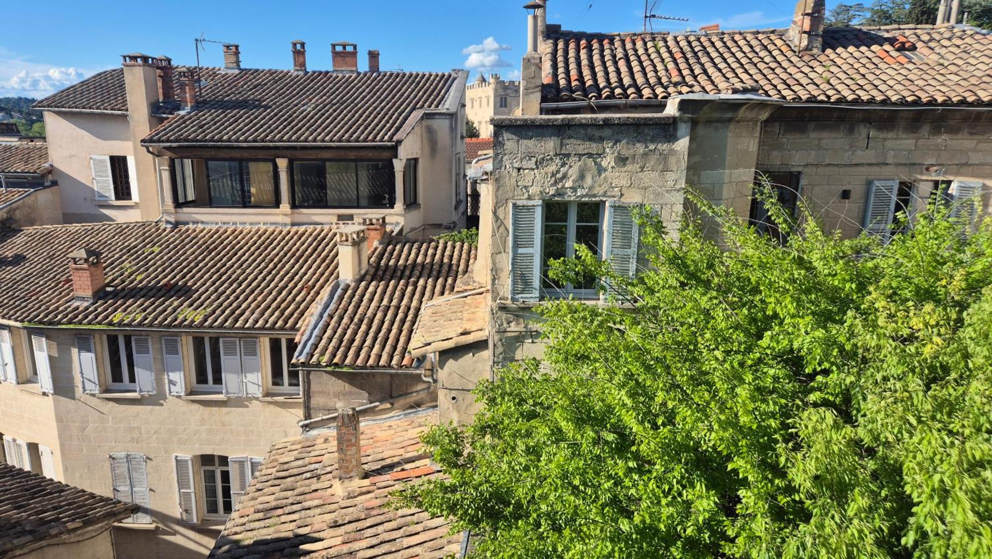 Un Nid Sur Les Toits Face Au Palais Des Papes Daire Avinyon Dış mekan fotoğraf
